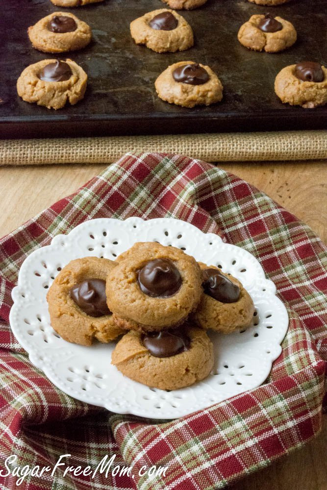 Low Carb Christmas Cookies
 21 Sugar Free Low Carb Holiday Cookie Recipes