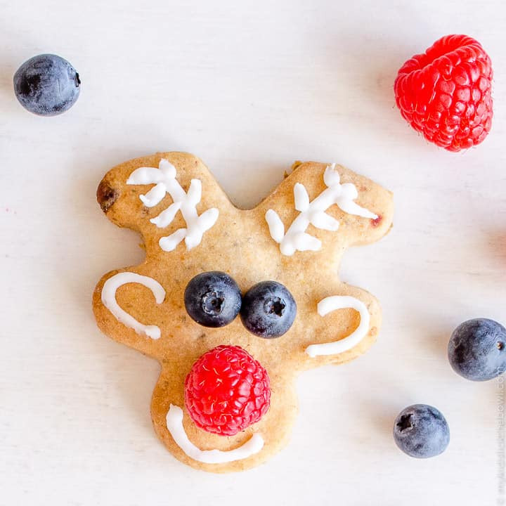 Low Sugar Christmas Cookies
 Low Sugar Reindeer Cookies