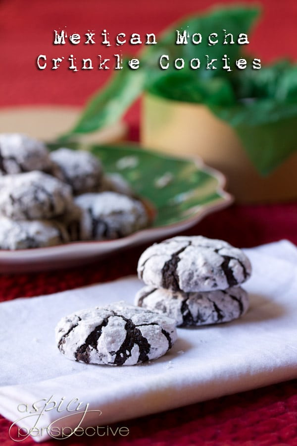 Mexico Christmas Cookies
 Mexican Mocha Crinkle Cookies A Spicy Perspective