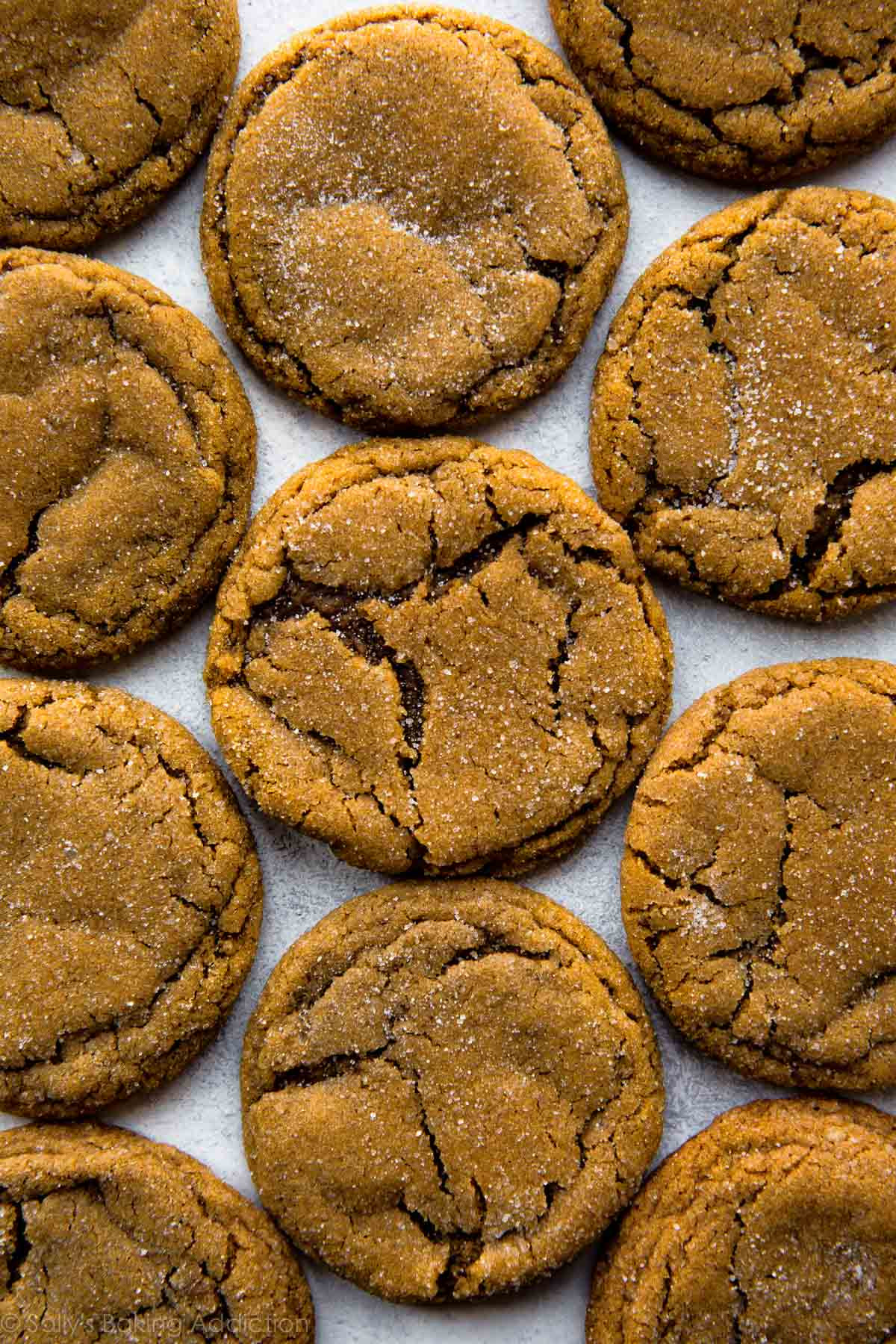 Molasses Christmas Cookies
 Seriously Soft Molasses Cookies Sallys Baking Addiction