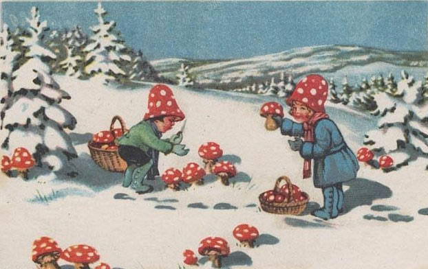 Mushrooms And Christmas
 Is the Santa Claus Myth Based on Magic Mushrooms Sam Woolfe
