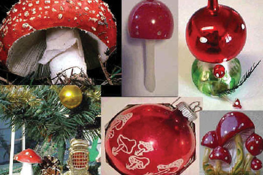 Mushrooms And Christmas
 Santa and the Shrooms The Real Story Behind the "Design