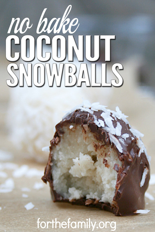 No Bake Christmas Candy
 No Bake Coconut Snowballs GF for the family