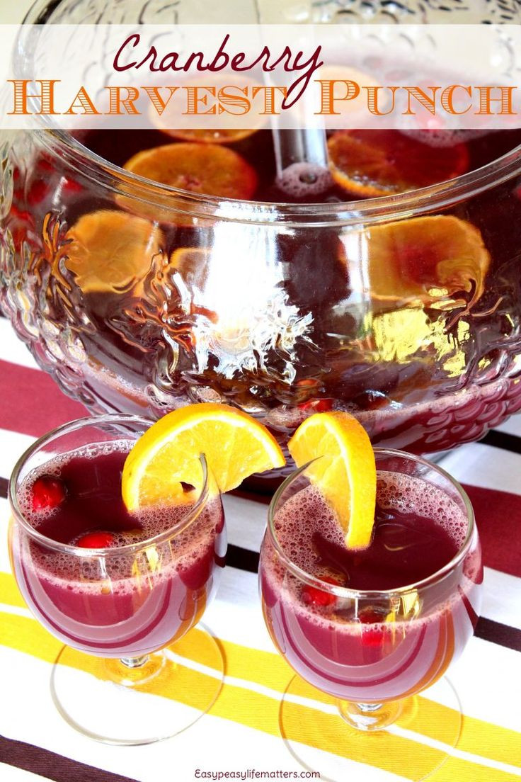 Non Alcoholic Drinks For Thanksgiving
 1000 ideas about Non Alcoholic Punch on Pinterest