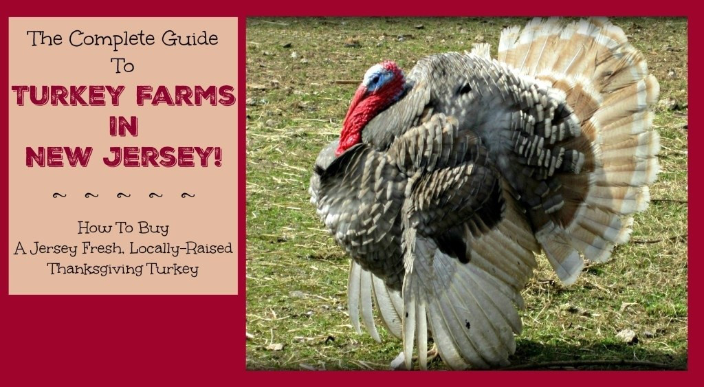 Order Fresh Turkey For Thanksgiving
 organic turkey farms in nj Archives Things to Do In New