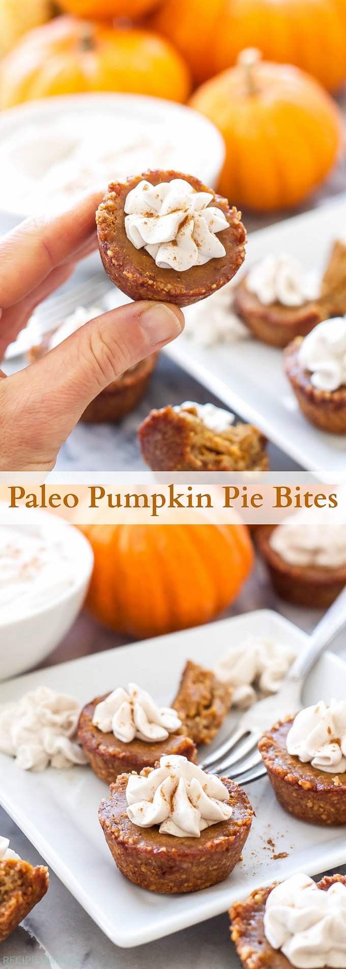 Paleo Thanksgiving Dessert
 Paleo Pumpkin Pie Bites Recipe Runner