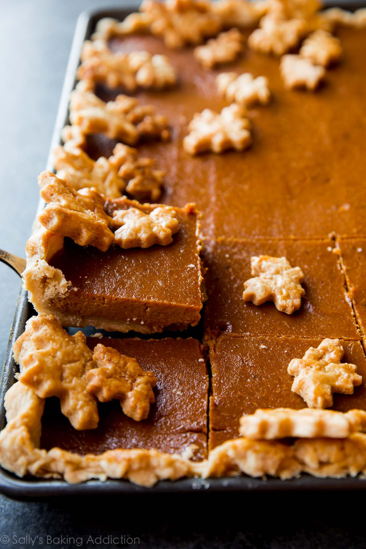 Pies For Thanksgiving
 Pumpkin Slab Pie Feeds a Crowd Sallys Baking Addiction