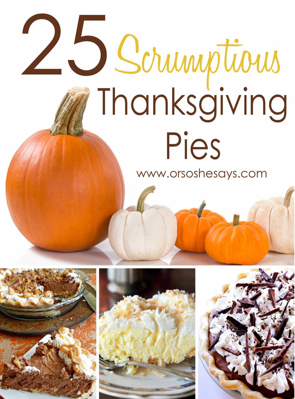 Pies For Thanksgiving
 25 Scrumptious Thanksgiving Pies she Mariah so she