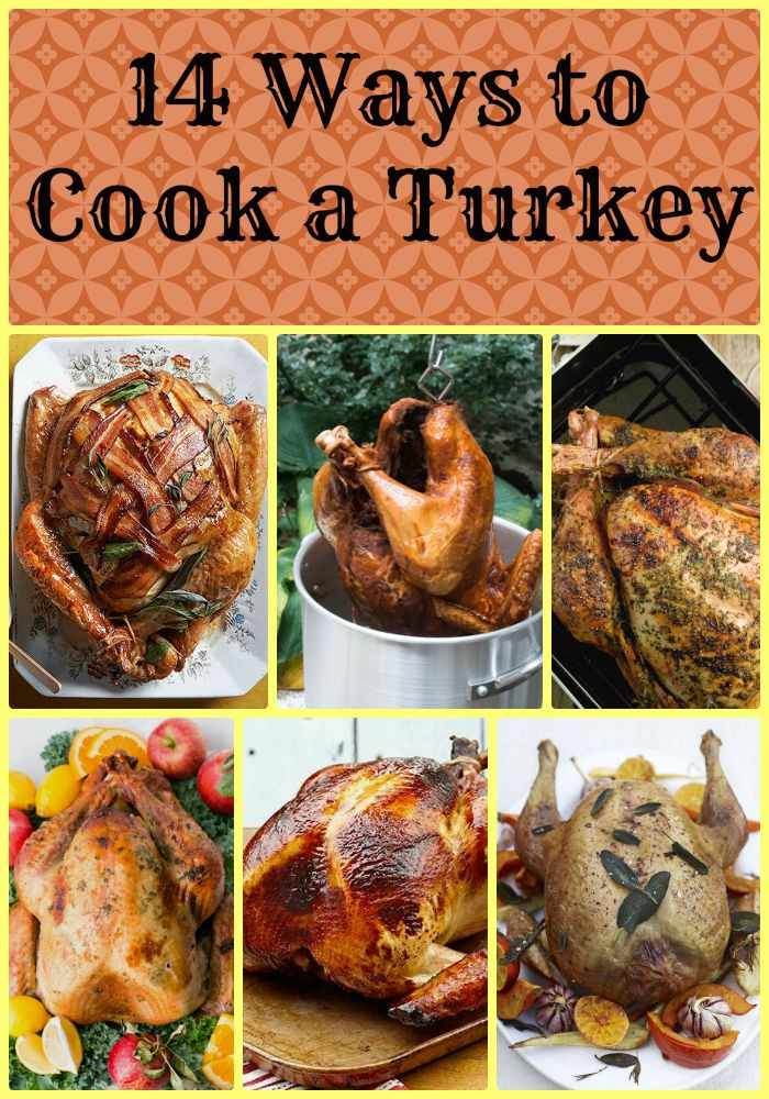 Prepare A Turkey For Thanksgiving
 14 Different Ways to Cook a Turkey Made From Pinterest