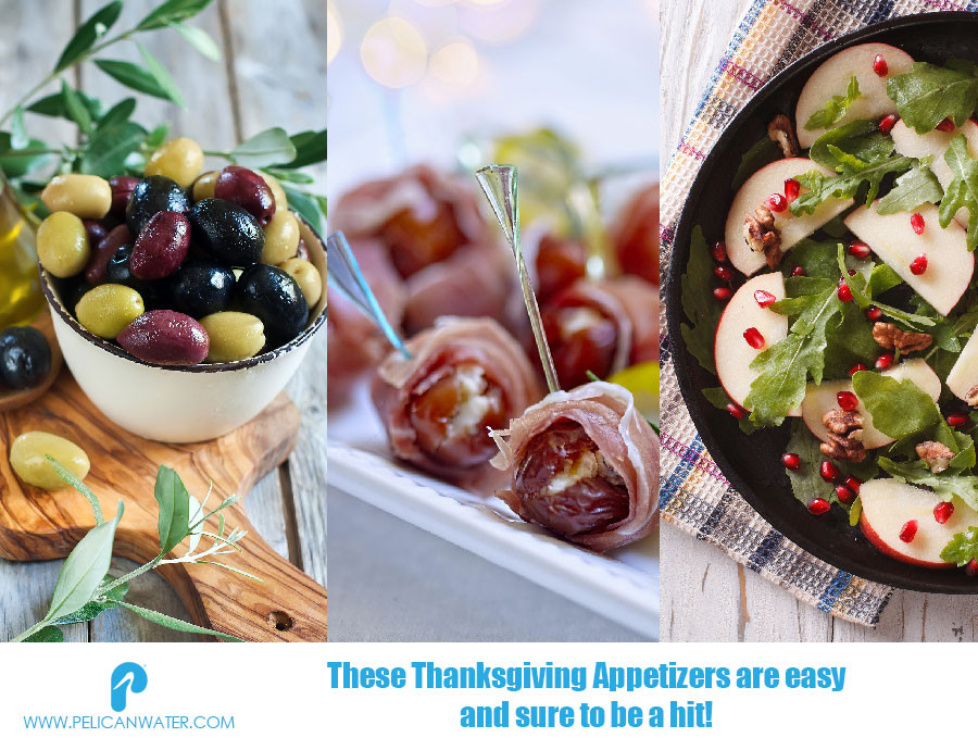 Quick And Easy Thanksgiving Appetizers
 Five Quick and Tasty Thanksgiving Appetizers