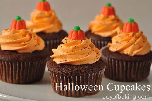 Recipes For Halloween Cupcakes
 Halloween Cupcakes Recipe Joyofbaking Tested Recipe