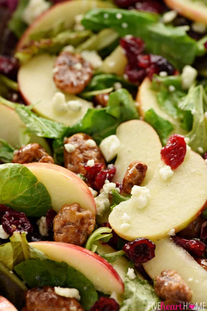 Salads Recipes For Thanksgiving
 Holiday Honeycrisp Salad • FIVEheartHOME
