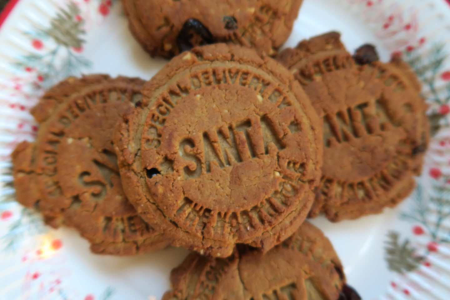Spiced Christmas Cookies
 Gluten and dairy free Christmas spiced protein cookies