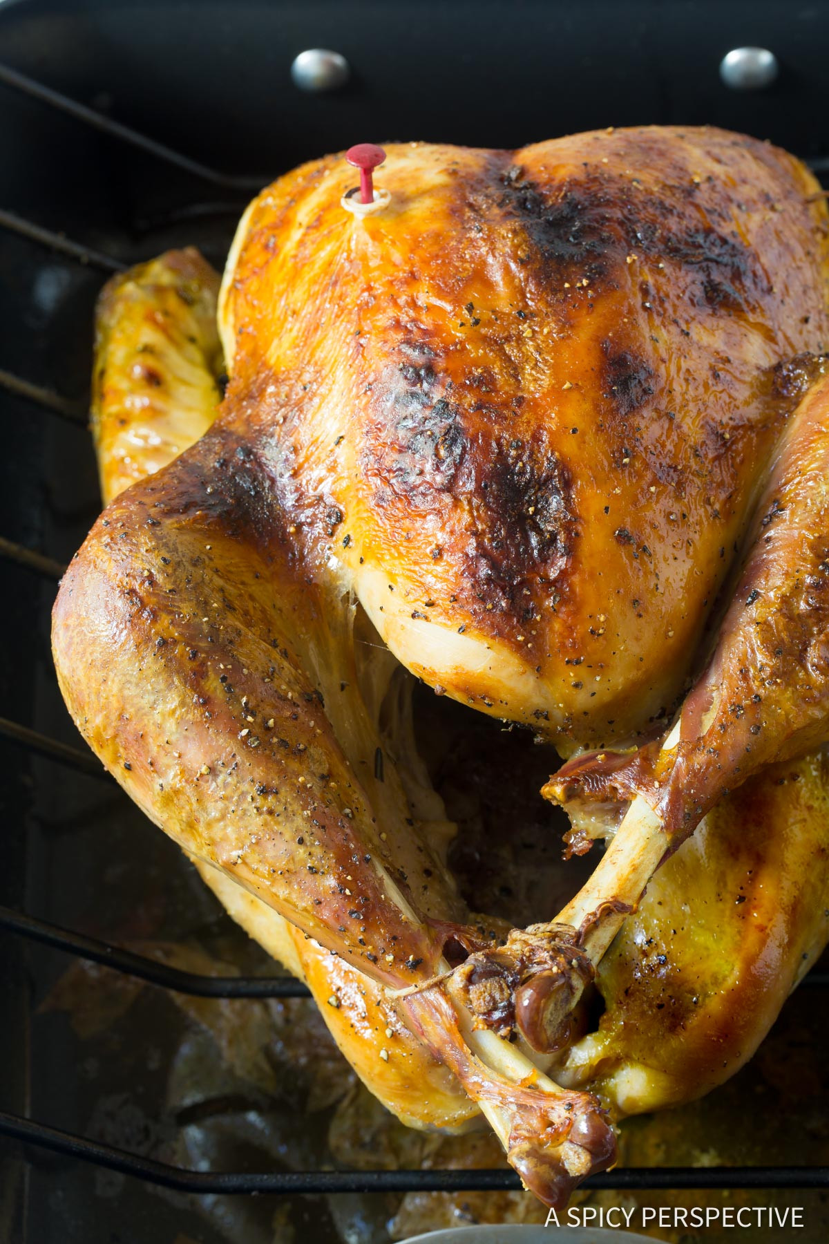Spicy Thanksgiving Turkey Recipe
 Best Turkey Brine Recipe A Spicy Perspective