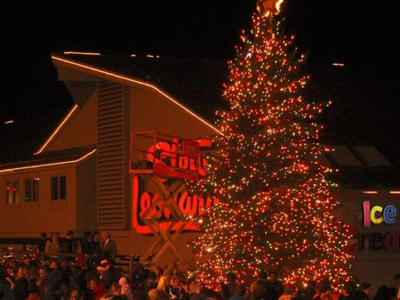 The top 21 Ideas About Stew Leonard's Christmas Trees - Most Popular Ideas of All Time