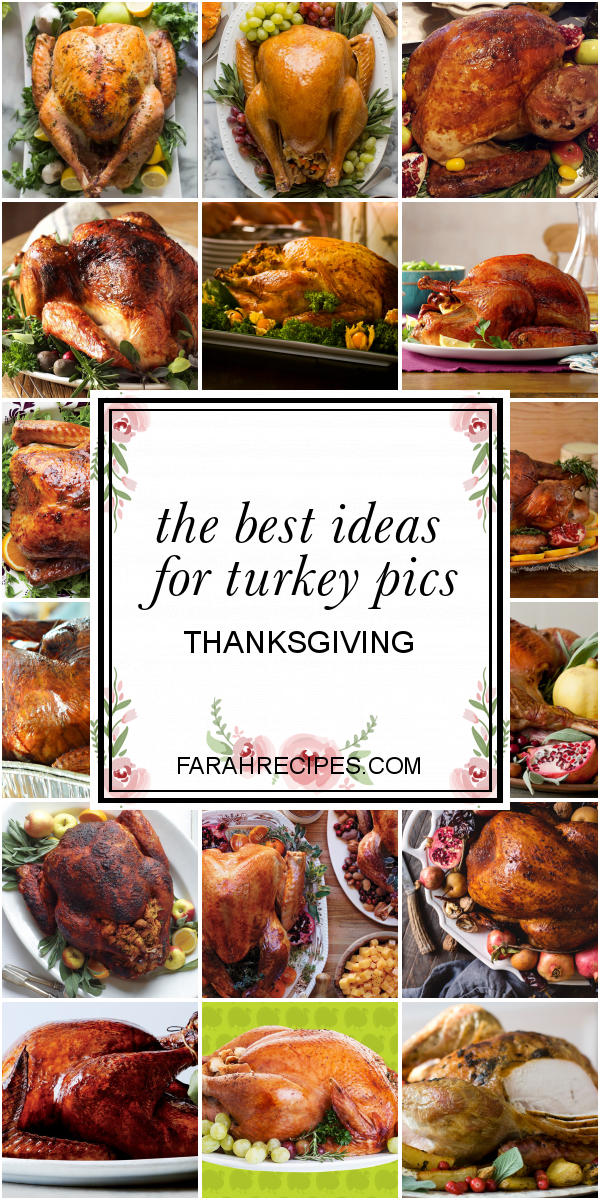 The Best Ideas for Turkey Pics Thanksgiving - Most Popular Ideas of All ...