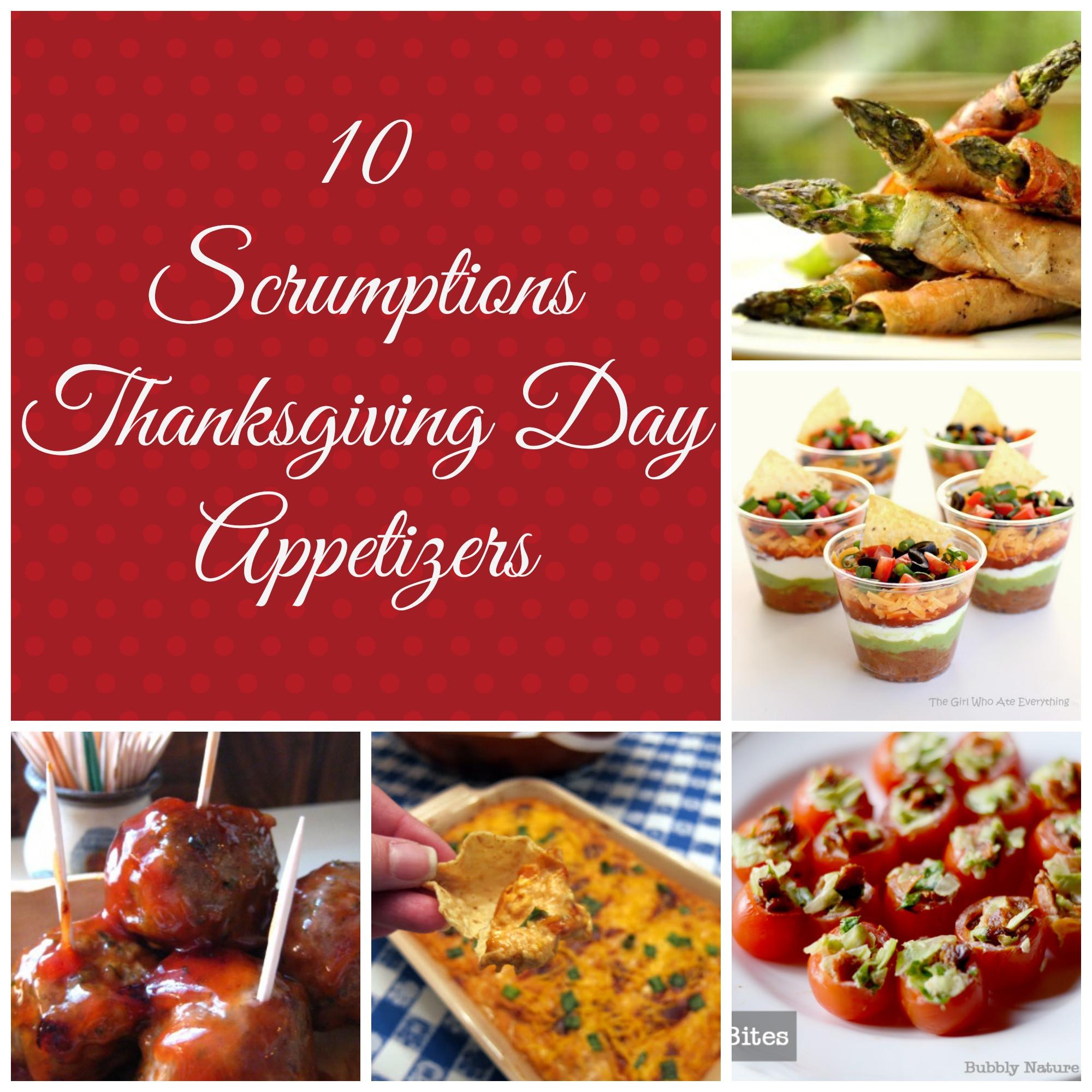 Thanksgiving Day Appetizers
 10 Scrumptious Thanksgiving Day Appetizers Detroit