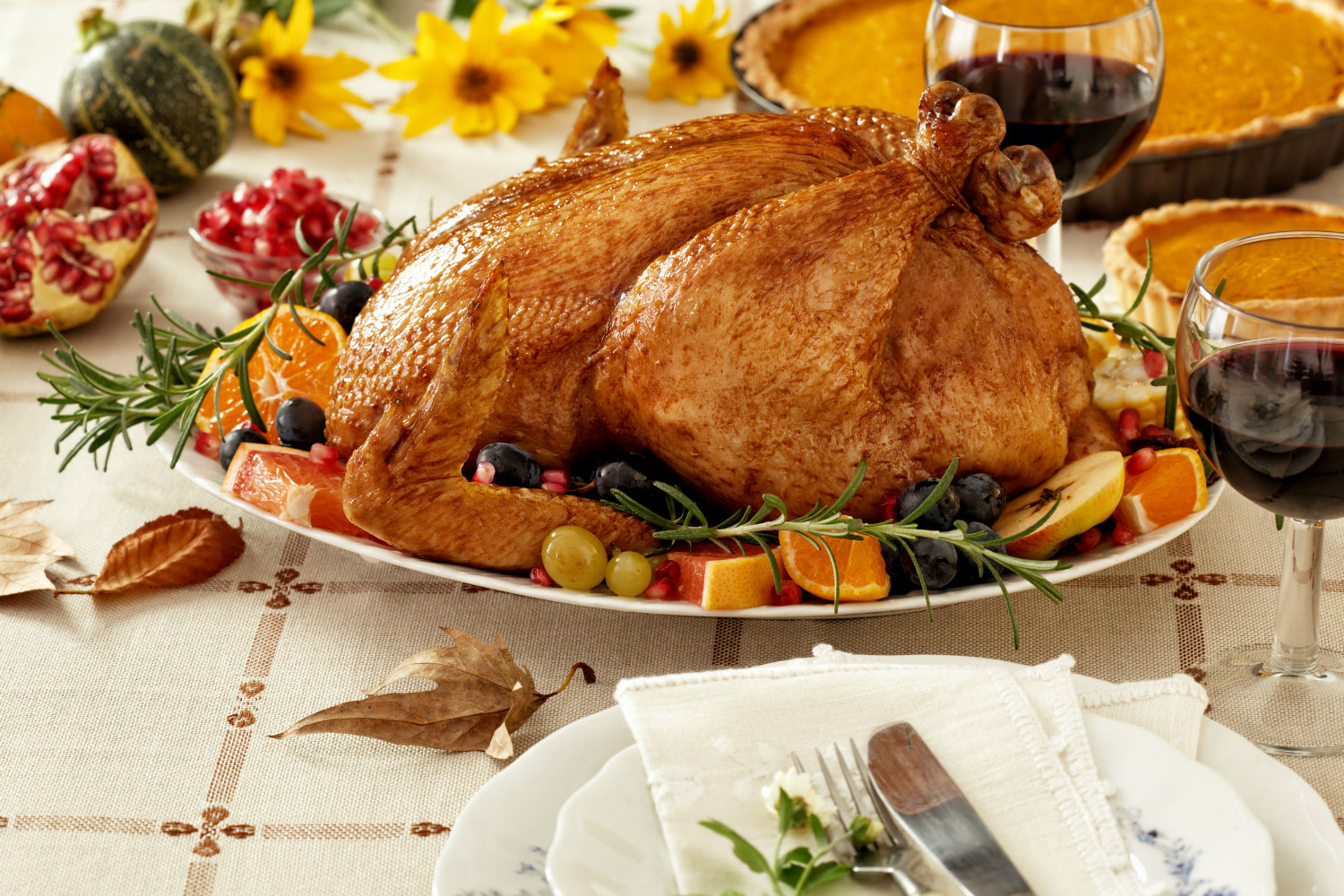 Thanksgiving Dinner Without Turkey
 Food production startup promises meat without murder by