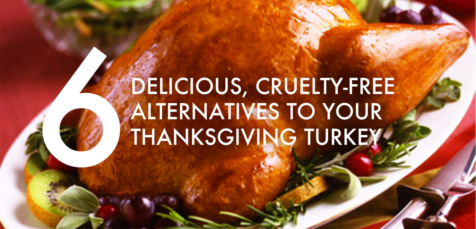 Thanksgiving Turkey Alternatives
 6 Vegan and ve arian turkey alternatives for