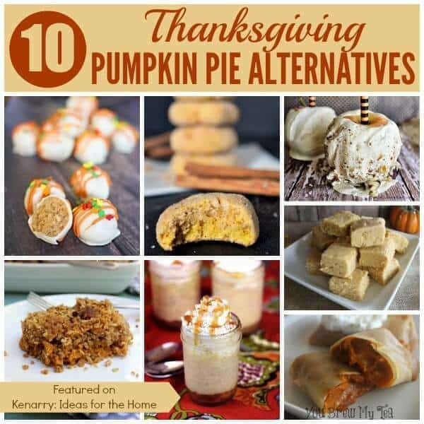 Thanksgiving Turkey Alternatives
 Pumpkin Pie Alternatives 10 Ideas for Thanksgiving
