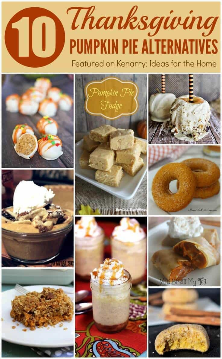 Thanksgiving Turkey Alternatives
 Pumpkin Pie Alternatives 10 Ideas for Thanksgiving