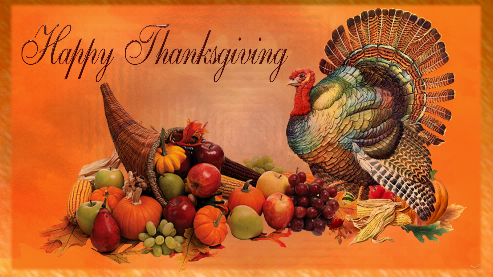 Thanksgiving Turkey Background
 Talking Turkey National Security – and Growing Our Own Food