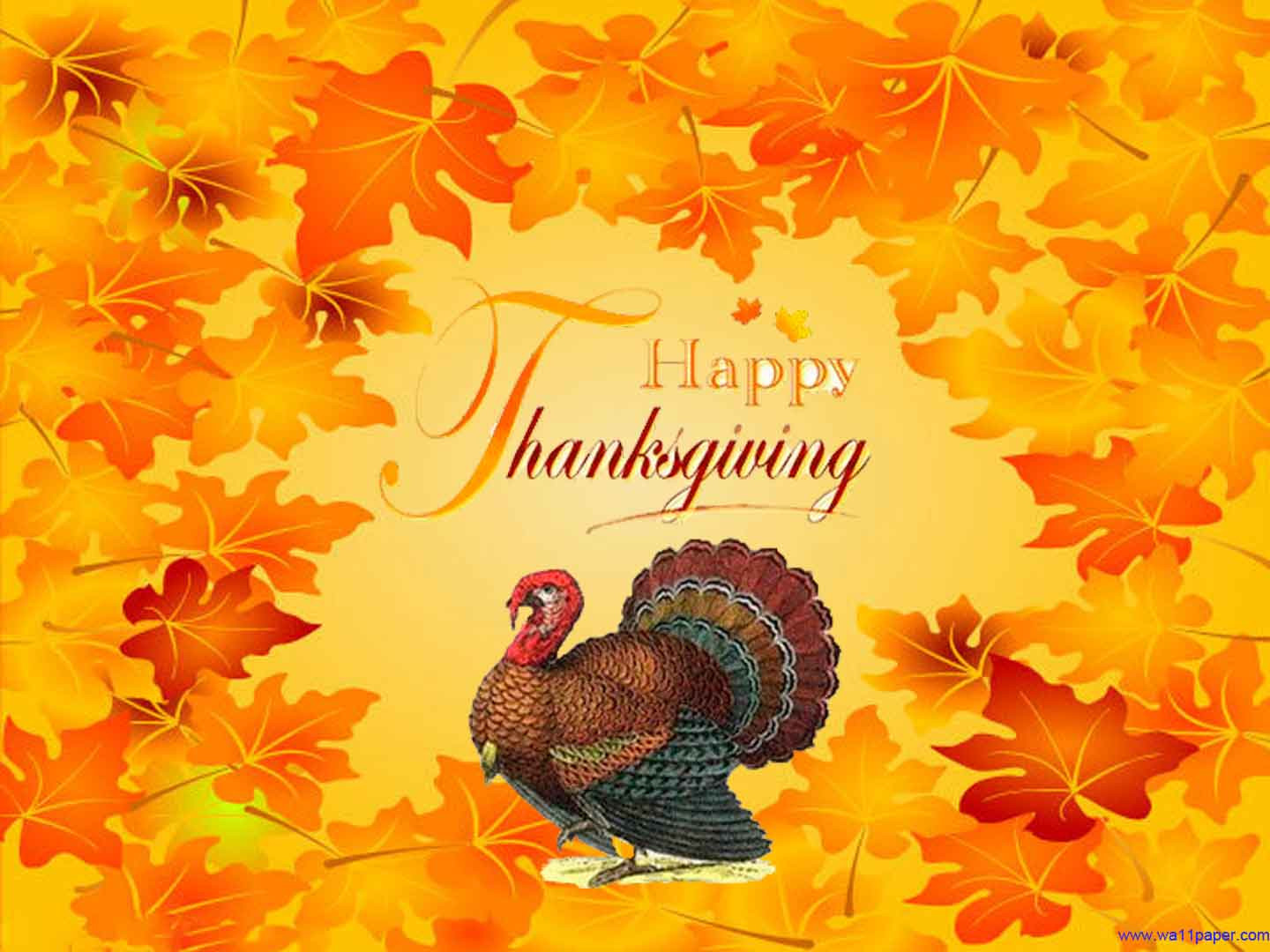 Thanksgiving Turkey Background
 Happy Thanksgiving Wallpapers Free Wallpaper Cave