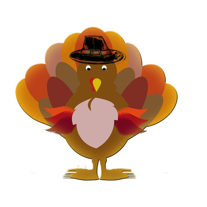 Thanksgiving Turkey Cartoon
 Turkey Thanksgiving Cartoon · Free image on Pixabay