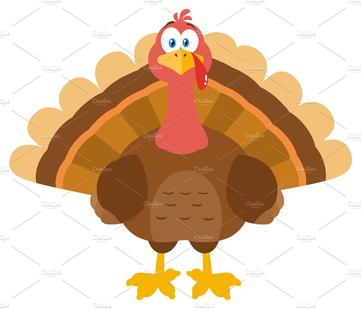 Thanksgiving Turkey Cartoon
 Turkey Bird Cartoon Mascot Character Illustrations