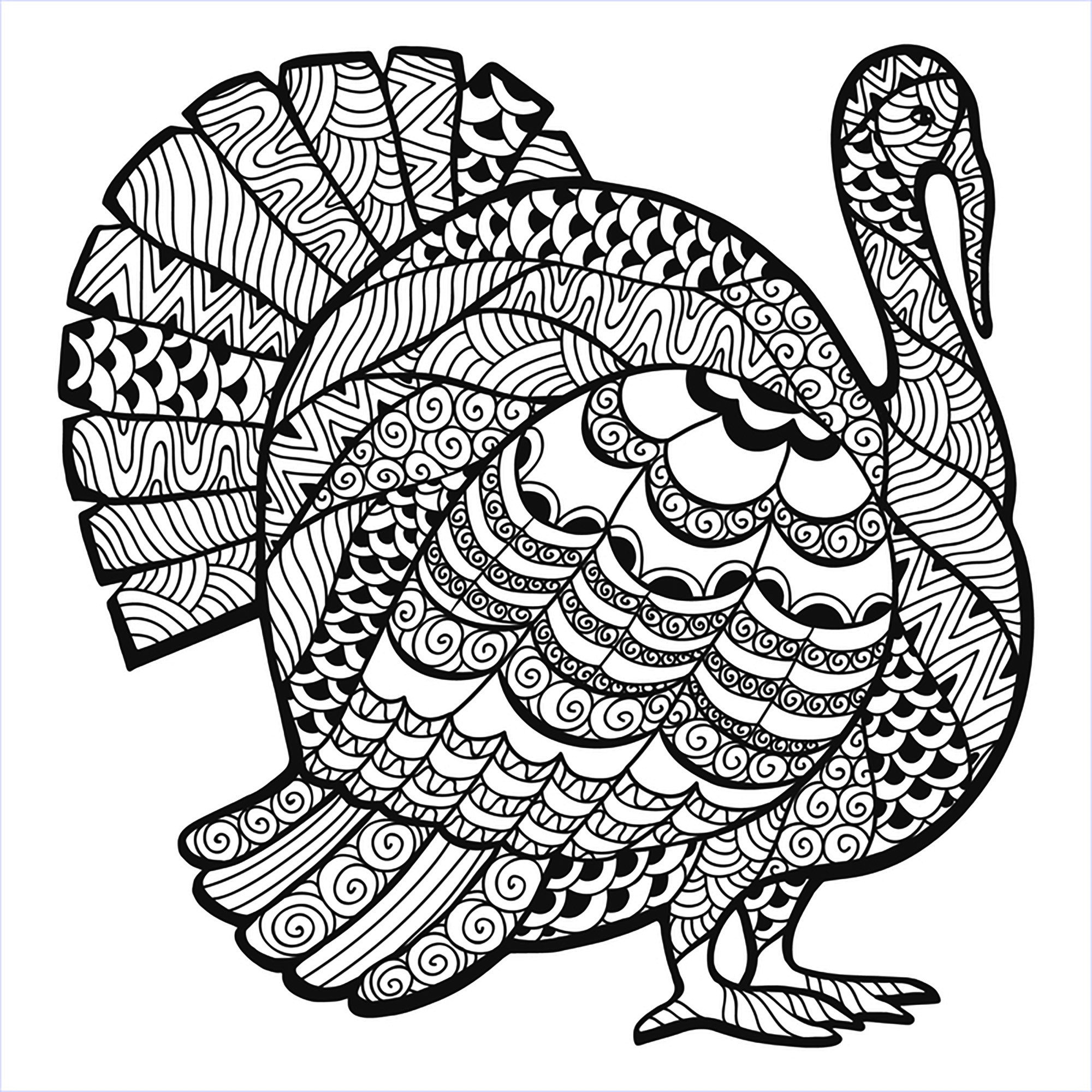 Thanksgiving Turkey Coloring Pages
 Thanksgiving Coloring Pages For Adults to and