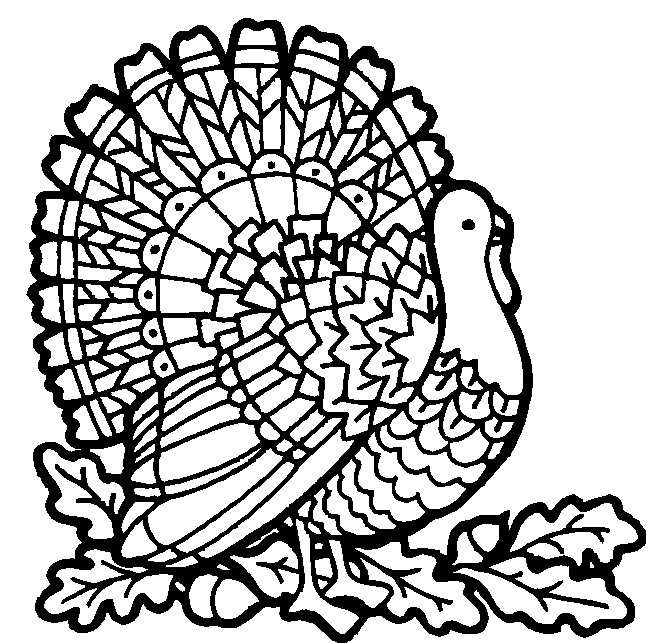 Thanksgiving Turkey Coloring Pages
 Thanksgiving Coloring