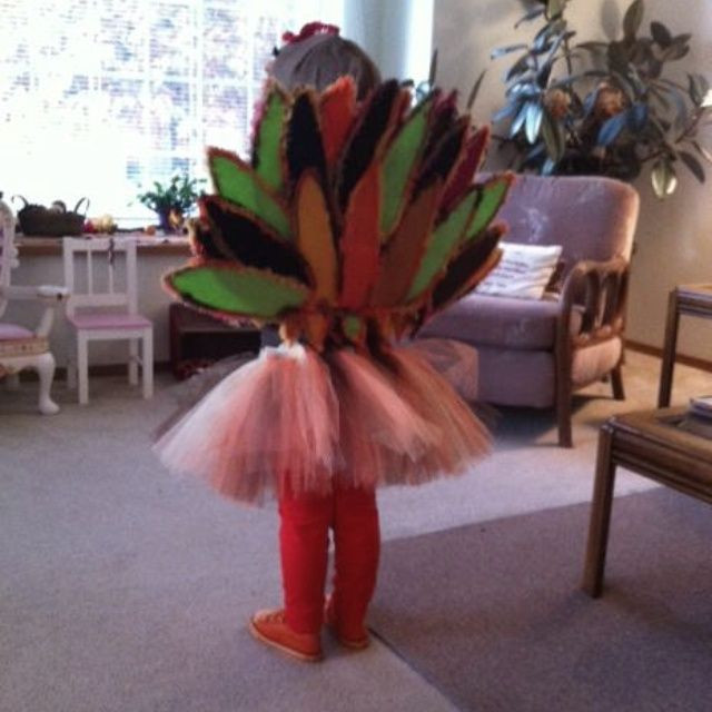 Thanksgiving Turkey Costume
 19 best Silicon Valley Turkey Trot Costume Ideas images on