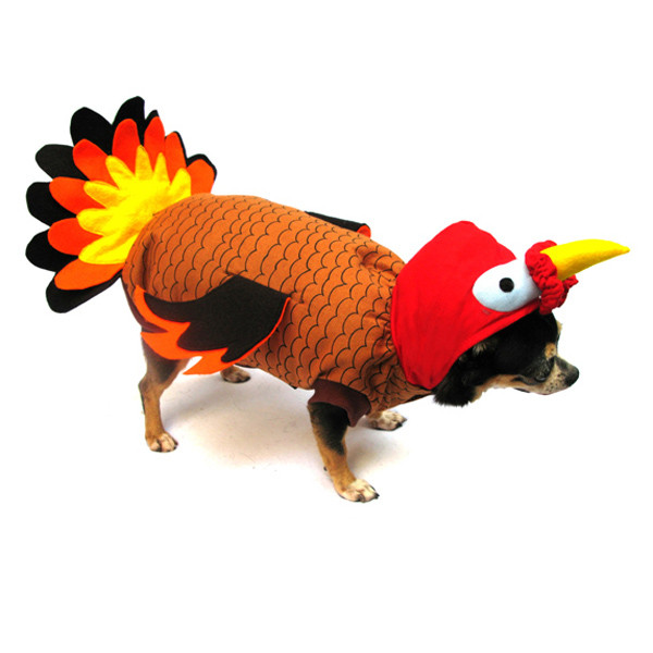 Thanksgiving Turkey Costume
 Turkey Dog Costume