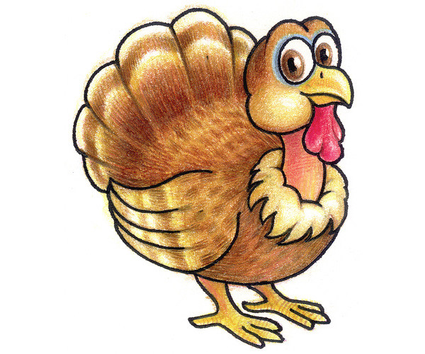 Thanksgiving Turkey Drawing
 Free Turkey Drawing Download Free Clip Art Free