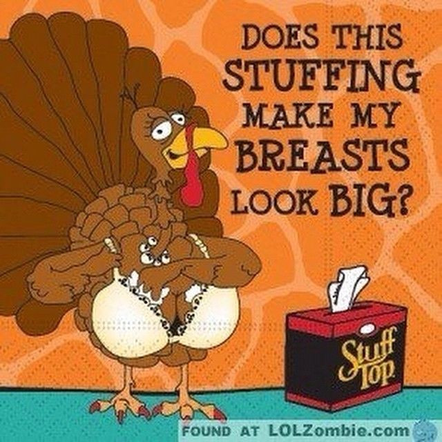 Thanksgiving Turkey Funny
 Best 25 Thanksgiving humor ideas on Pinterest
