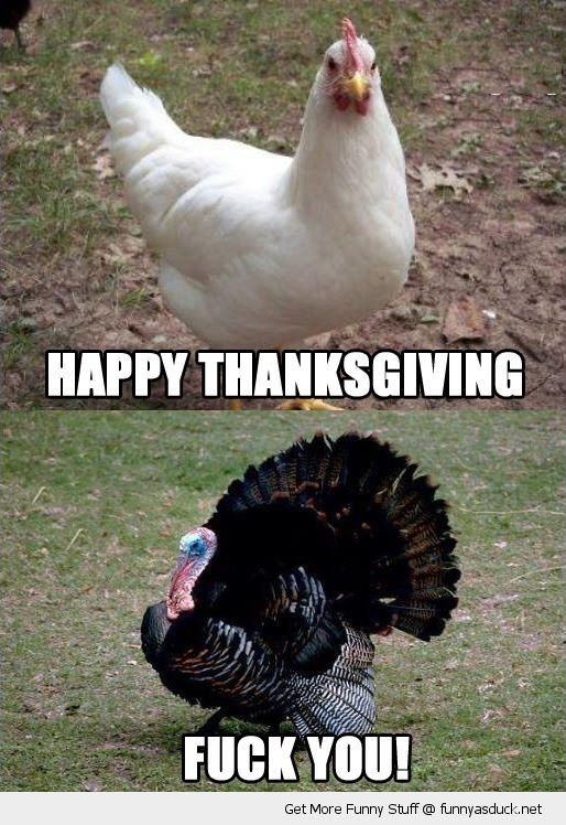 Thanksgiving Turkey Funny
 Daily Morning Awesomeness Thanksgiving Edition 53 s