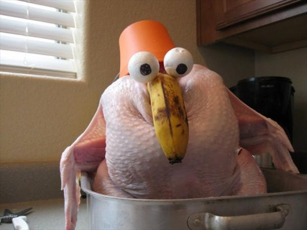 Thanksgiving Turkey Funny
 funny thanksgiving pictures 22 Dump A Day