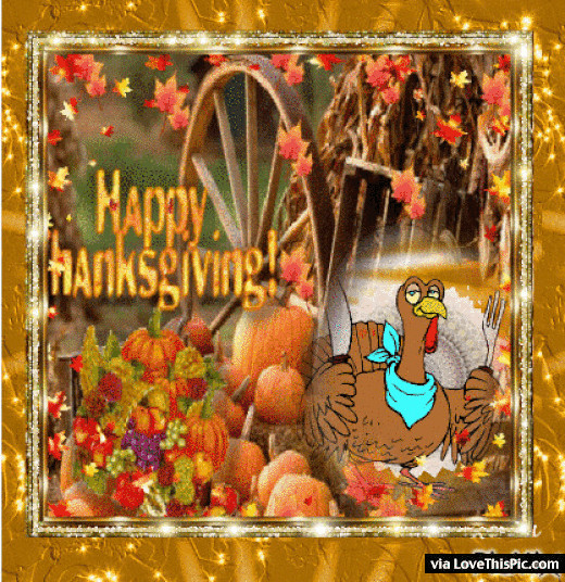 Thanksgiving Turkey Gif
 Animated Thanksgiving Turkey Gif Quote s