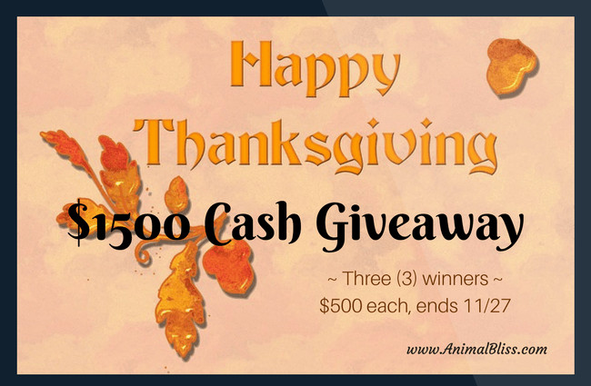 Thanksgiving Turkey Giveaway
 Thanksgiving Cash Giveaway 3 winners $500 each ends 11