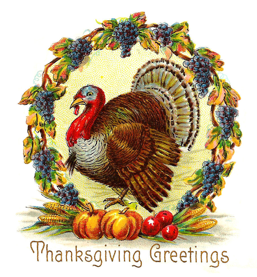 Thanksgiving Turkey Graphic
 Antique Free Thanksgiving Day Graphic