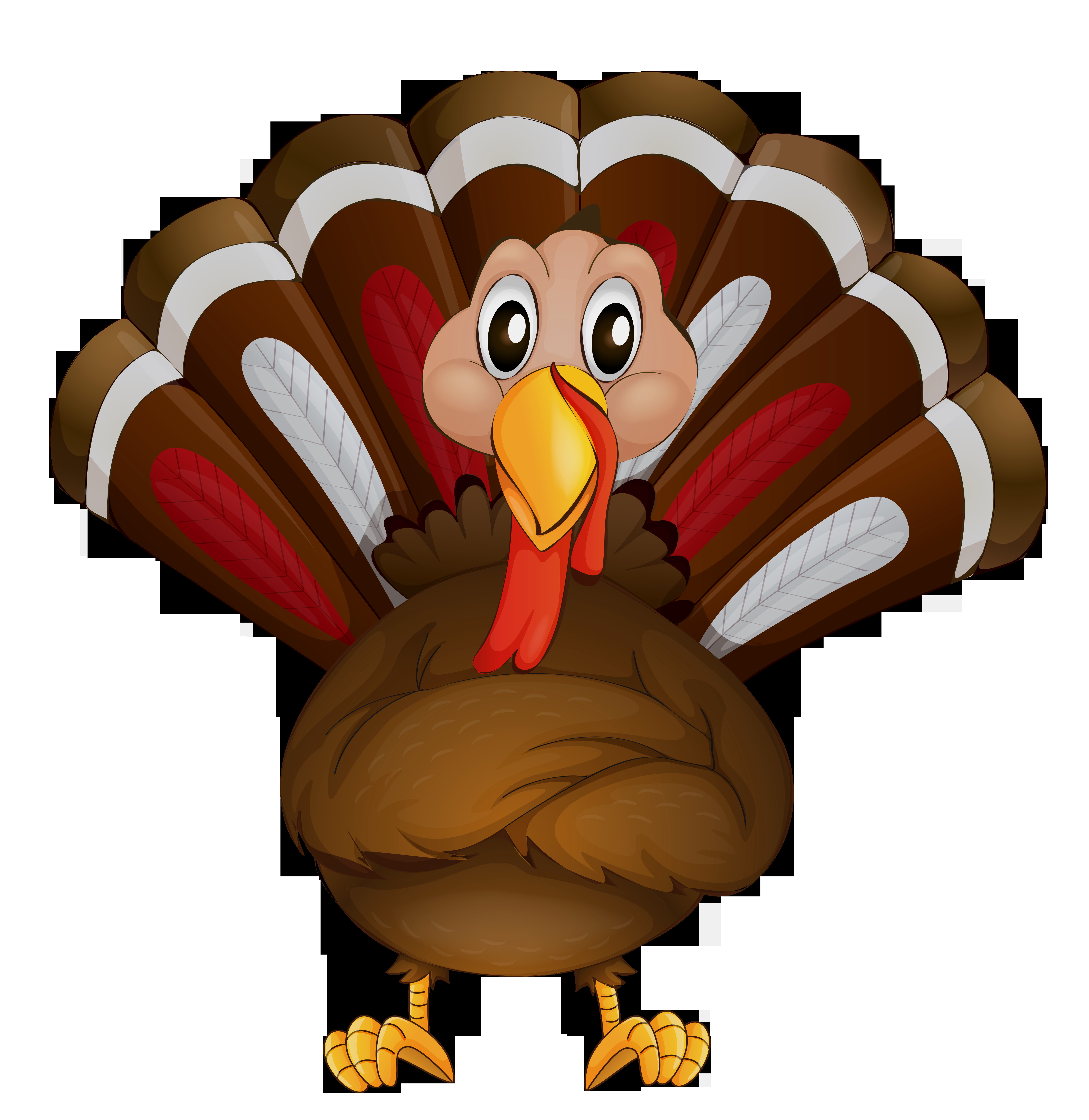 Thanksgiving Turkey Graphic
 Thanksgiving clipart transparent Pencil and in color