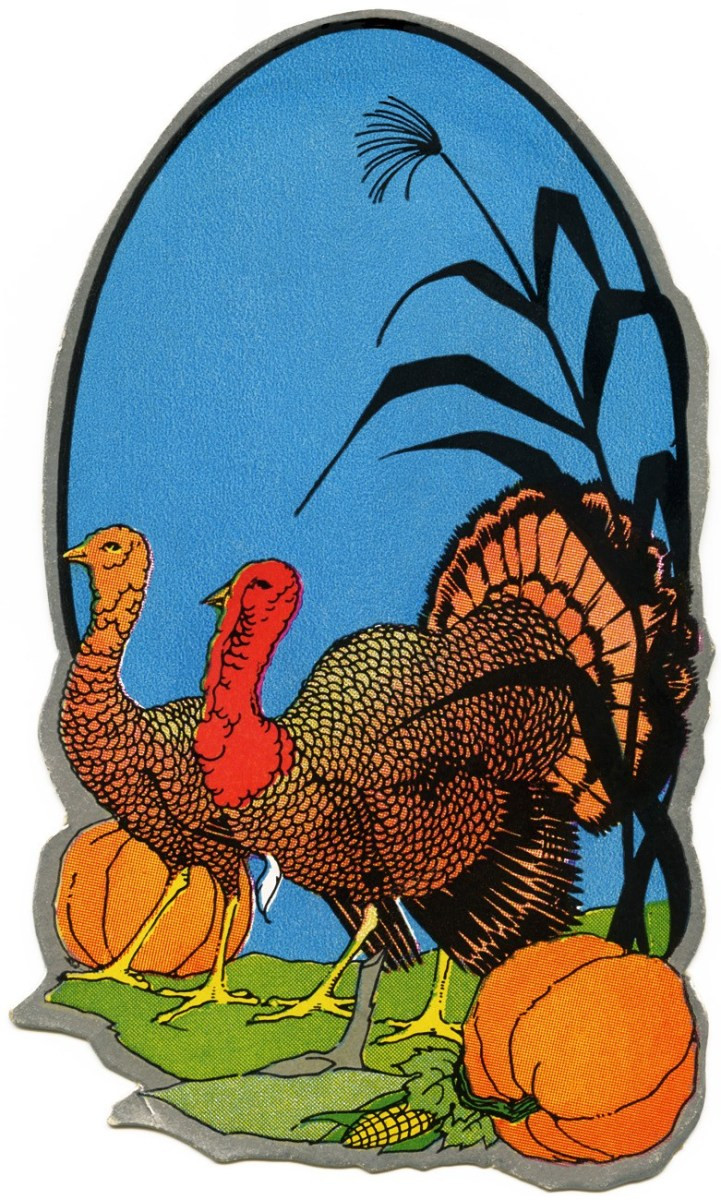 Thanksgiving Turkey Graphic
 Free Vintage Clipart Turkeys and Pumpkins