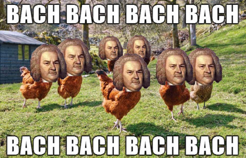 Thanksgiving Turkey Meme
 Bach Bach Funny Thanksgiving Meme