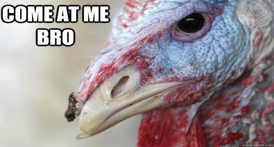 Thanksgiving Turkey Meme
 These 10 Turkey Memes are Perfect for Thanksgiving
