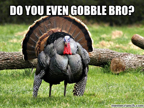 Thanksgiving Turkey Meme
 Tickled Turkey