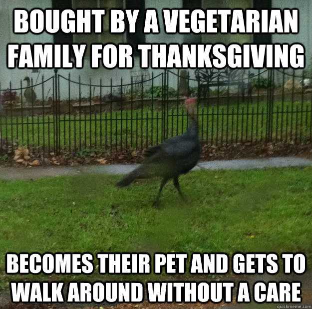 Thanksgiving Turkey Meme
 Bought By A Ve arian Family For Thanksgiving Funny Meme