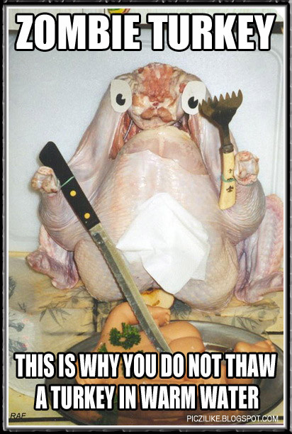 Thanksgiving Turkey Meme
 Picz I Like November 2012