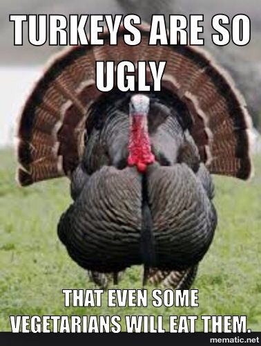 Thanksgiving Turkey Meme
 145 best images about Funny memes on Pinterest