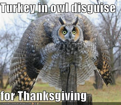 Thanksgiving Turkey Meme
 November 2013