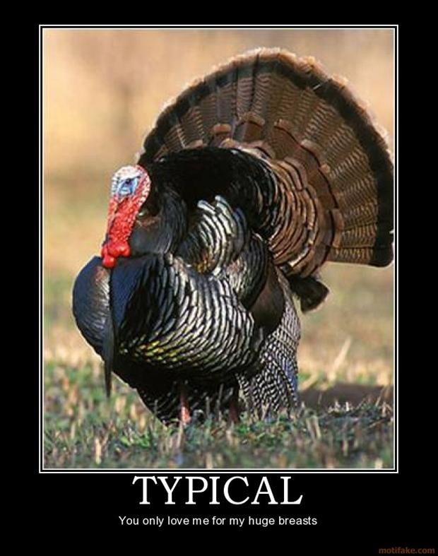 Thanksgiving Turkey Meme
 11 Turkey Memes That Will Get You Ready to Blast Those Birds